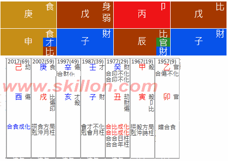 八字 BaZi Four Pillars of Destiny Patt Chee